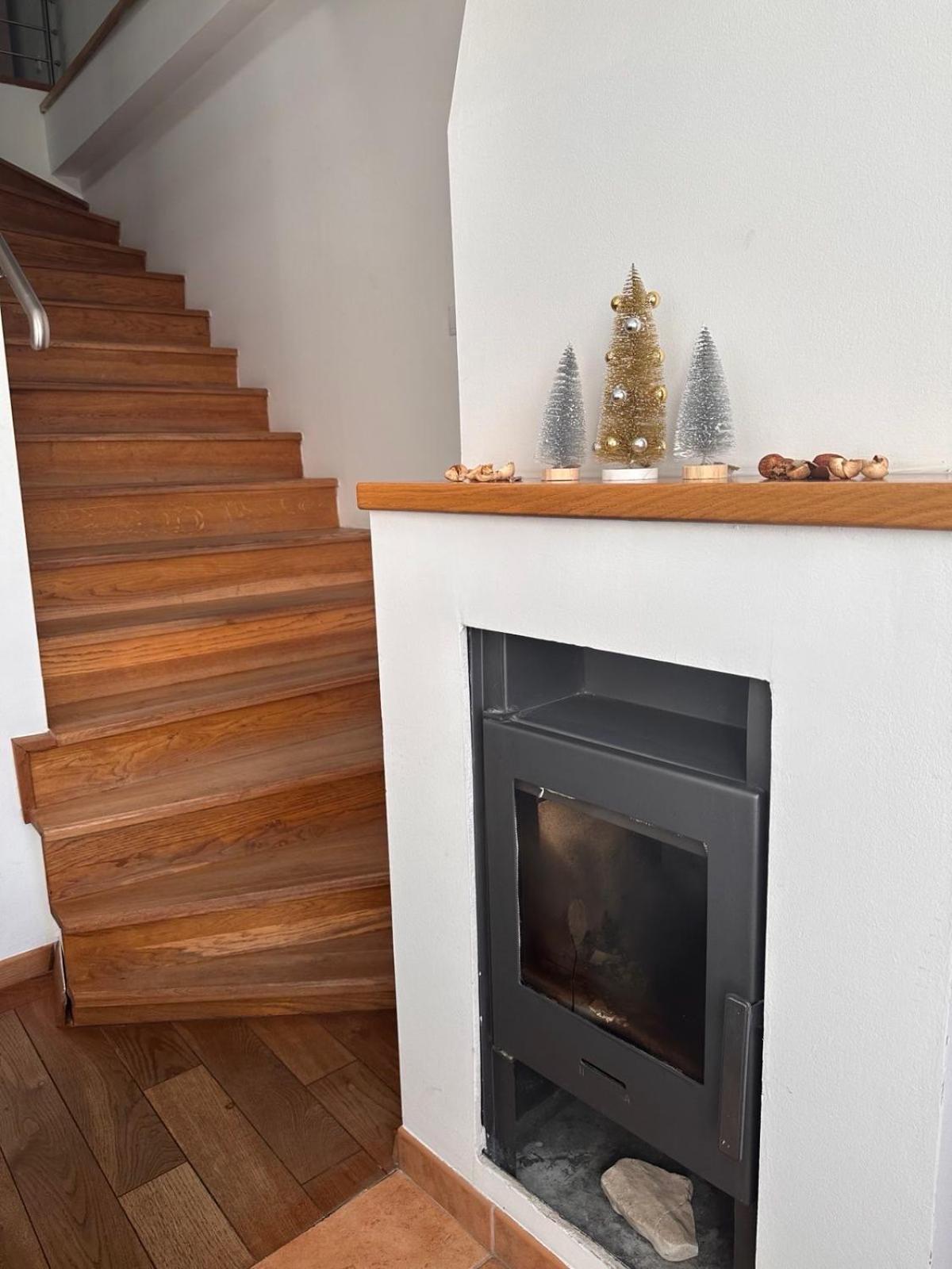 סראייבו Vila Danin With Free Garage,Stari Grad מראה חיצוני תמונה